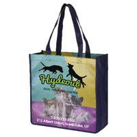 Gusset - Full Color Import Air Ship Glossy Lamination Grocery Shopping Tote Bags